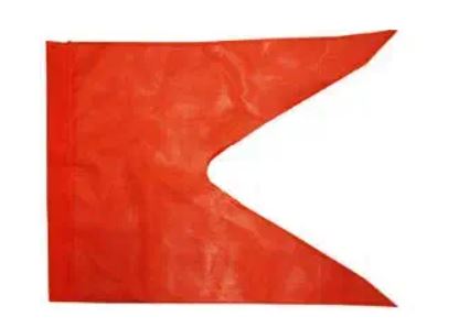 Orange Flag/ Dhwaj
