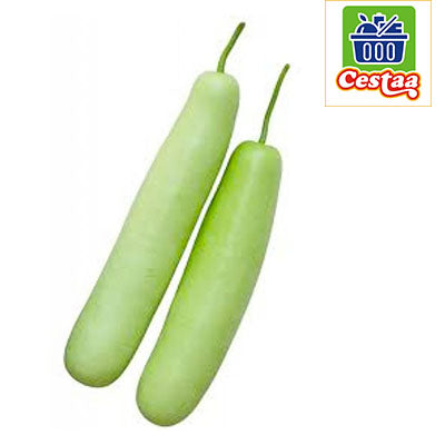 Fresh Long gourd / Dudhi - Cestaa Retail