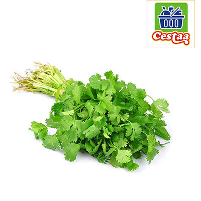 Fresh coriander leaves - Cestaa Retail