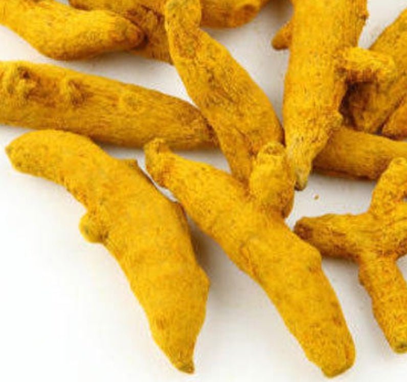 Dried Whole Turmeric / Haldi stick / Turmeric finger 1 nos