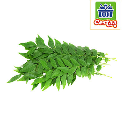 Fresh Curry leaves - Cestaa Retail